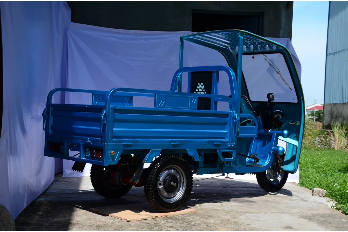Xe ba bánh điện mái che 1.6m