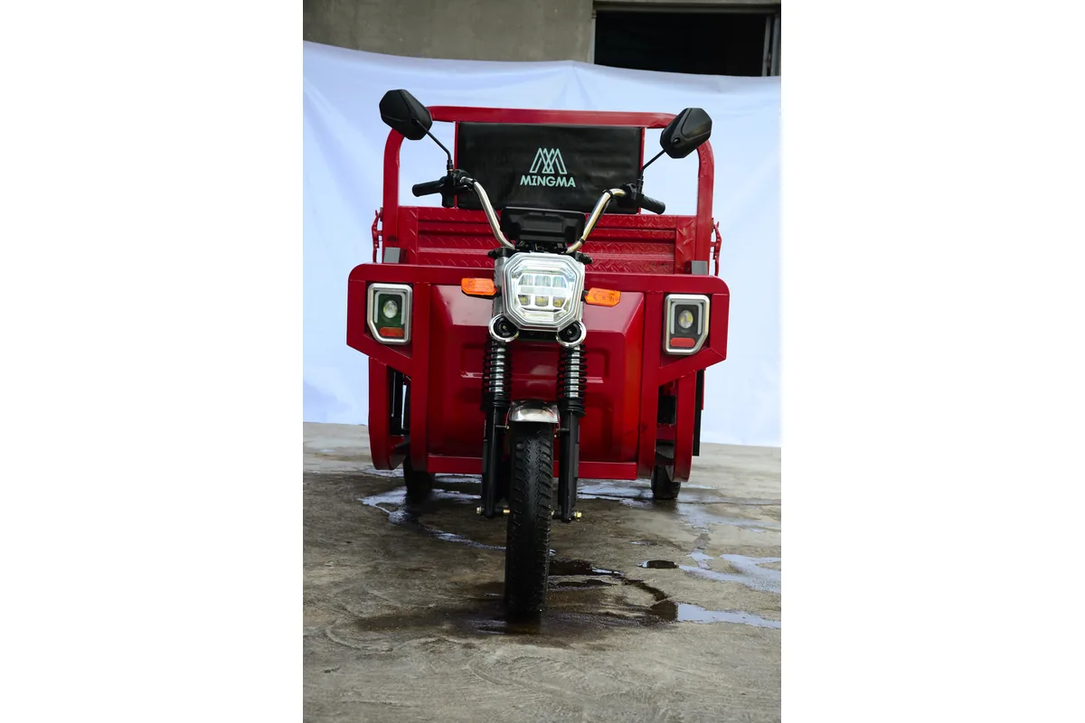 Xe ba bánh điện 1.6m Eagle