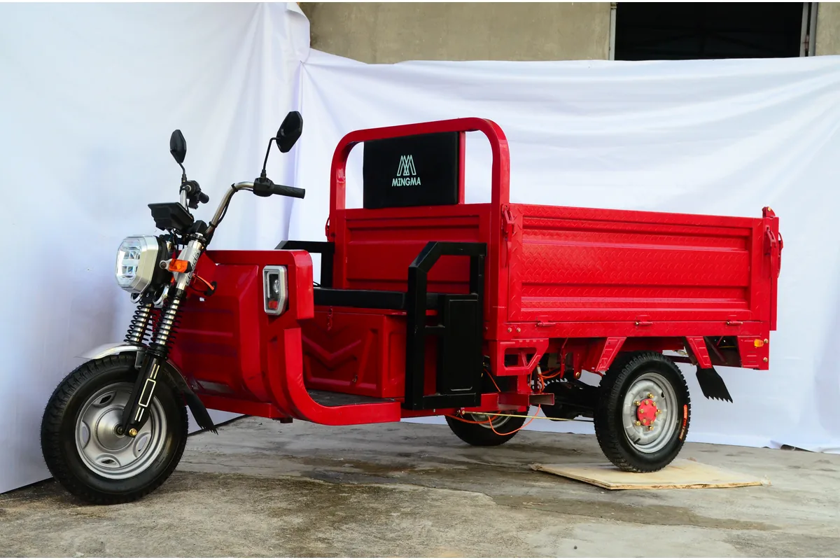 Xe ba bánh điện 1.6m Eagle