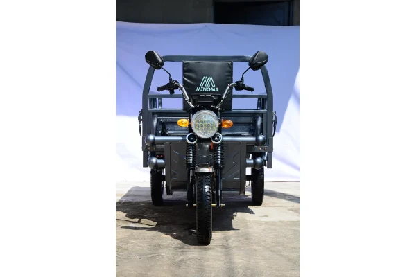 Xe ba bánh điện 1.8m Eagle MINGMA - ảnh mới 1