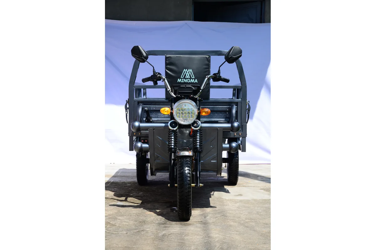 Xe ba bánh điện 1.8m Eagle