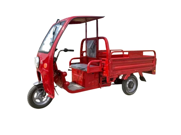 XE ĐIỆN BA BÁNH CÓ MÁI CHE 700KG